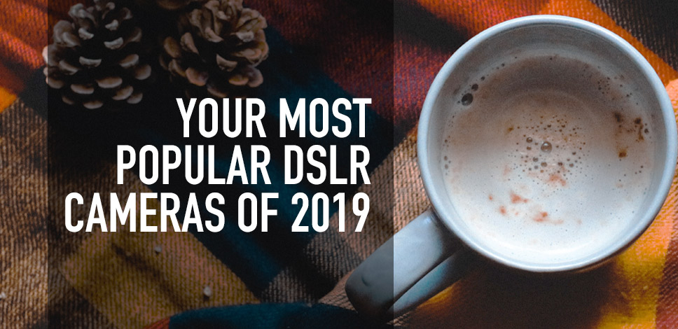 Your Best DSLR Cameras of 2019