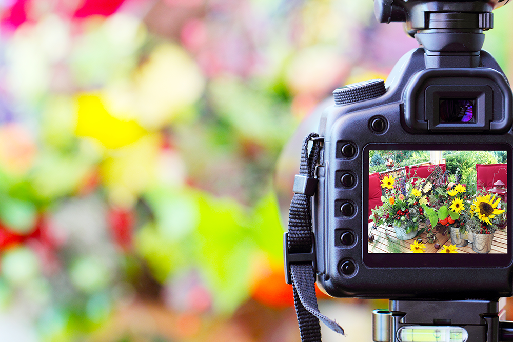 The Pros & Cons of Live View in Photography | Photography Tips