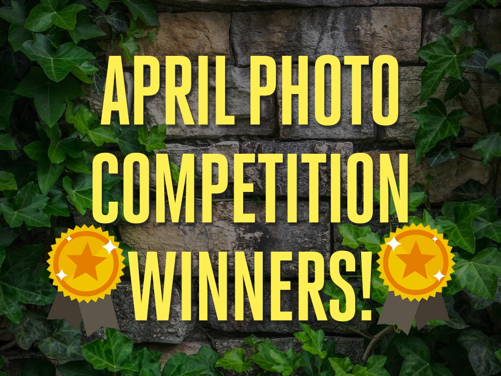 Announcement: Winners of the April Photography Competition!