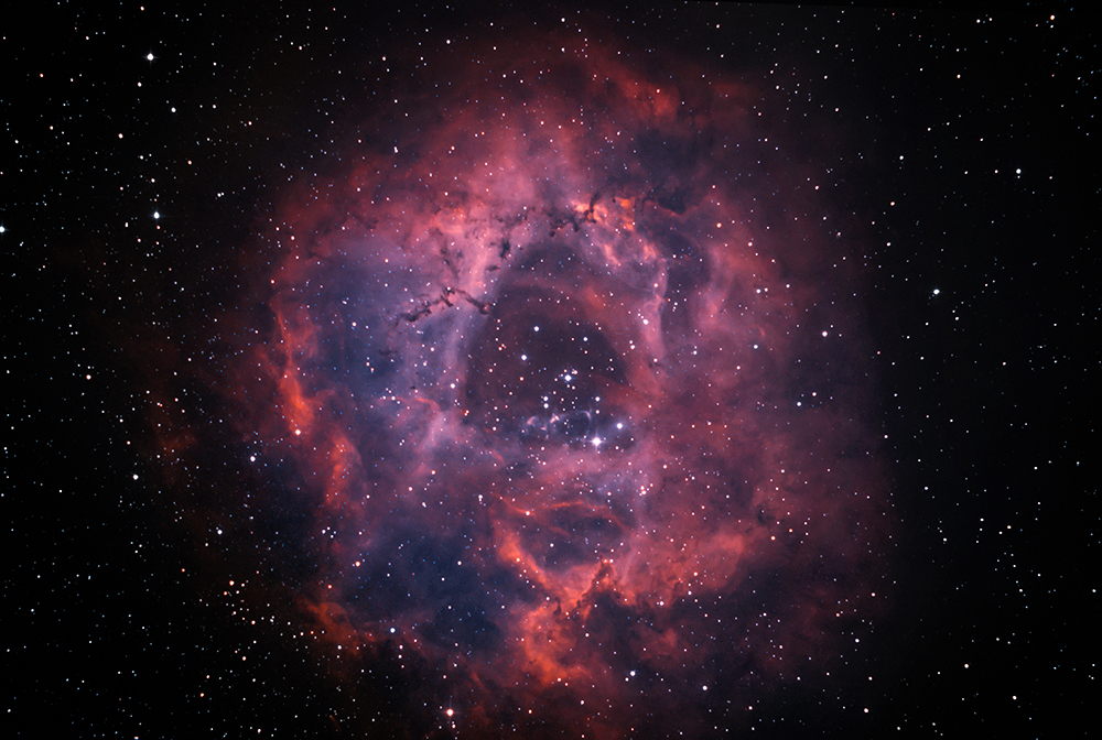 NGC2244 nebula also know as Rosette