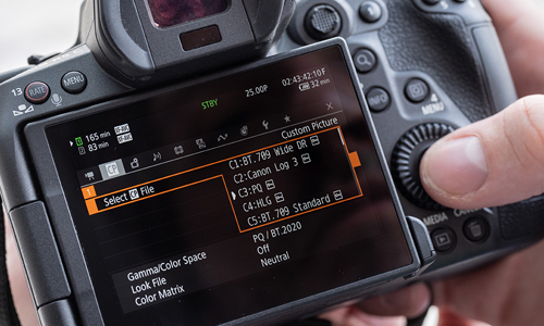 Canon EOS R5 C Menu Example