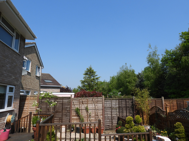 Photo of the garden where the birds are landing