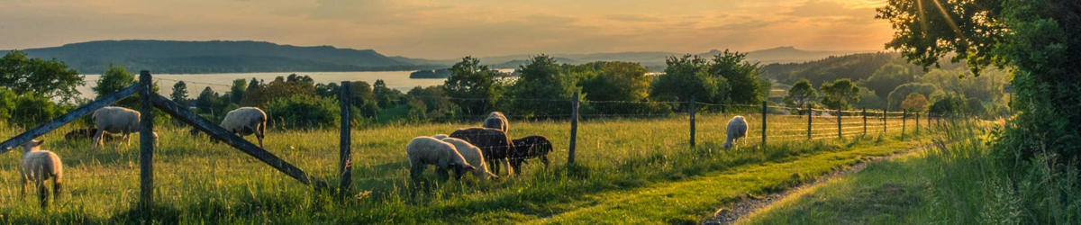 Travel photography banner image