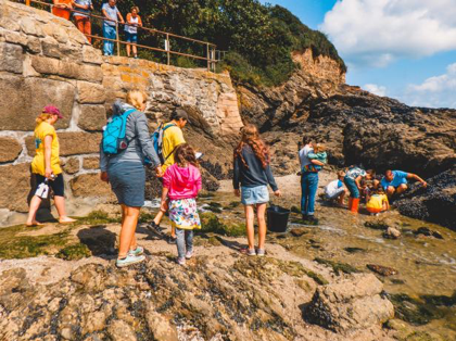 Image of rock pooling in Swanpool