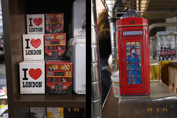Fujifilm X-Half diptych 2