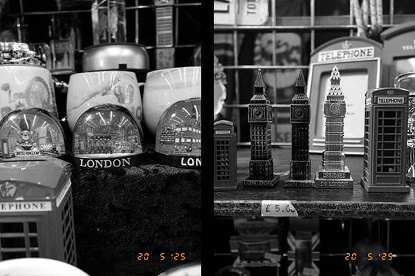 Fujifilm X-Half diptych 3