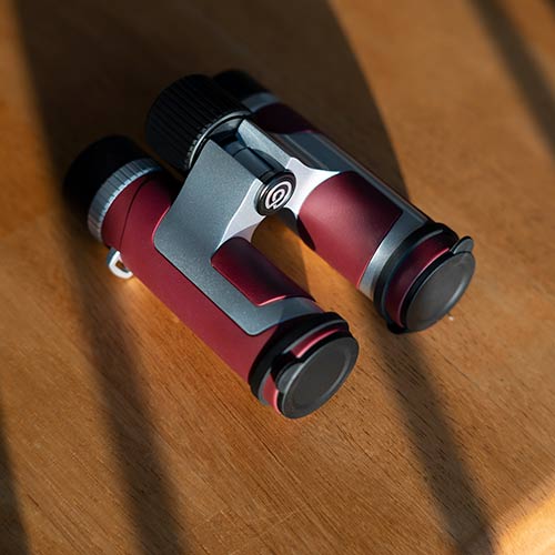 GoView Binoculars