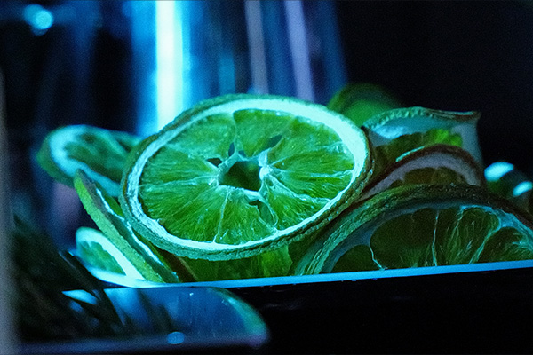 Picture of lime slices in a bowl zoomed in