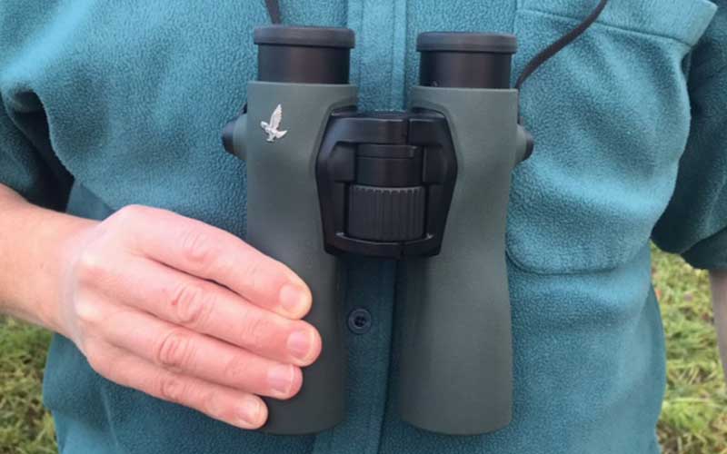 Image of Swarovski NL Pure 8x42 binoculars