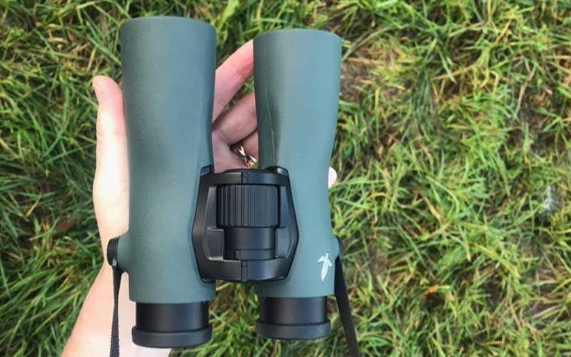 Image of Swarovski NL Pure 8x42 binoculars in hands