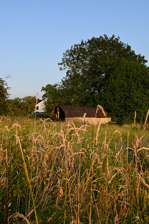 Barn in golden hour taken on a Nikon Z fc