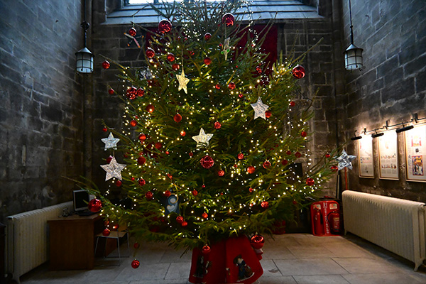 Christmas Tree in Dark Church with Flash