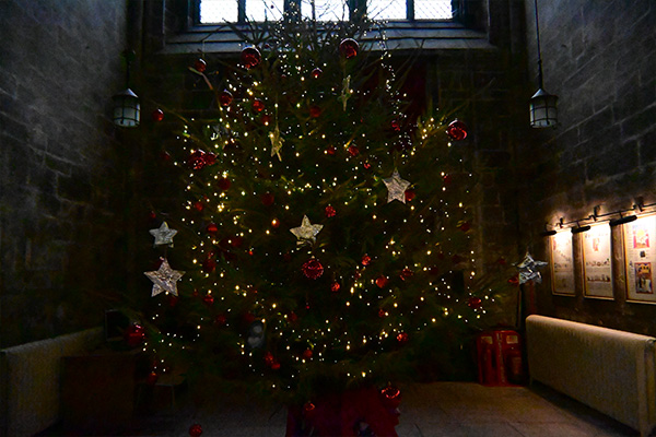 Christmas Tree in Dark Church