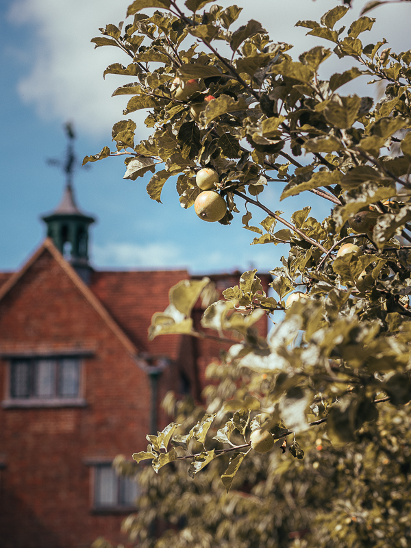 Chartwell House National trust