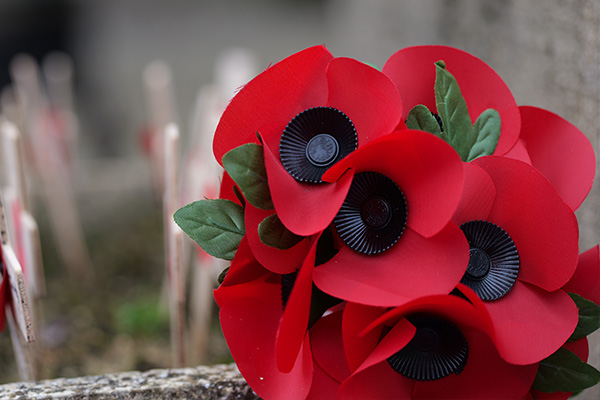 Plastic Poppies with depth of field