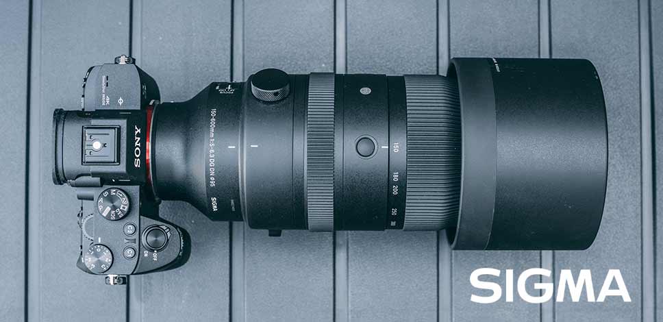 First Impressions of the Sigma 150-600mm F5-6.3 DG DN OS Sport Lens