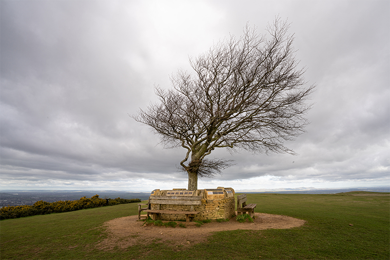 Sigma 17mm f4 DG DN Sample Image