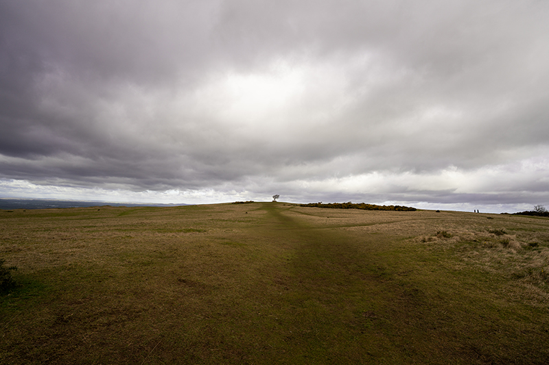 Sigma 17mm f4 DG DN Sample Image