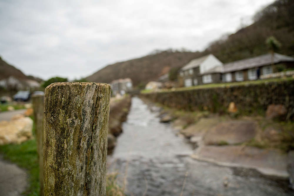 Macro photo taken at Boscastle Harbour, Cornwall taken on Samyang 24-70mm F2.8 Lens