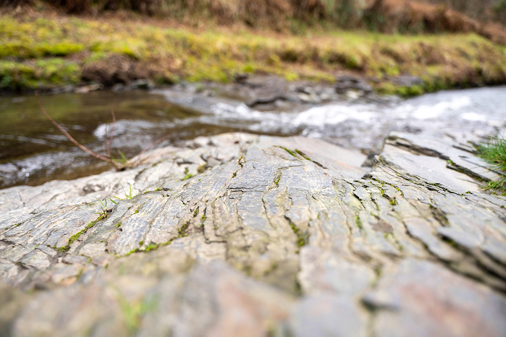 River in Cornwall taken on Sigma 25-70mm F2.8 lens