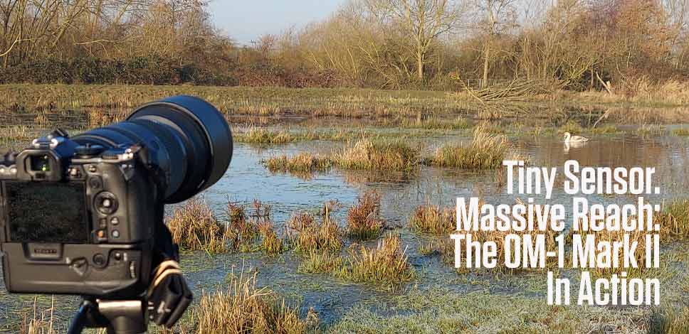 Tiny Sensor. Massive Reach: The OM-1 Mark II in Action