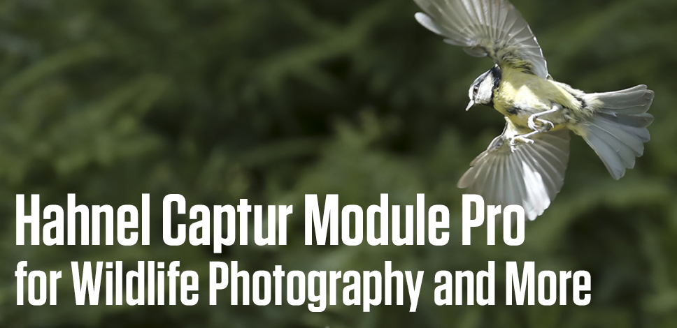 Hahnel Captur Module Pro for Wildlife Photography and More