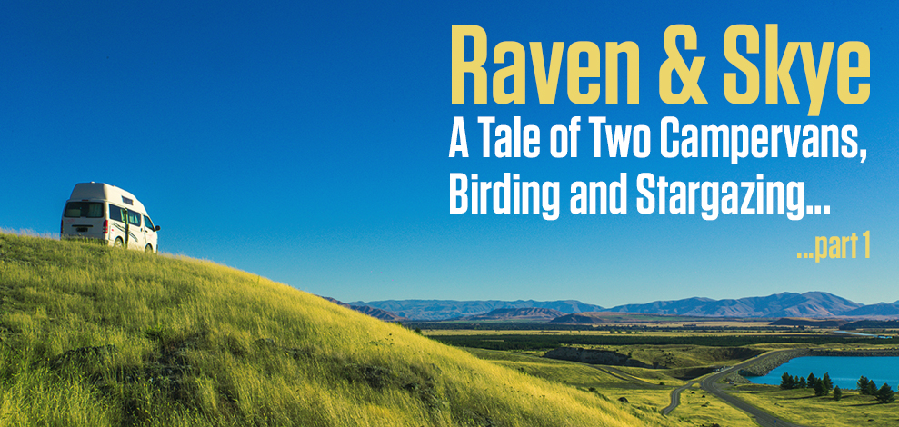 Raven and Skye: A Tale of Two Campervans, Birding and Stargazing