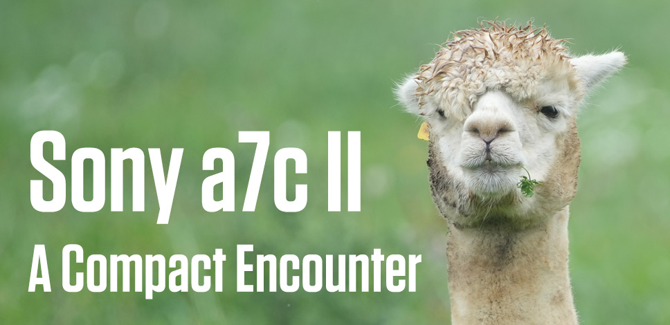 Sony a7c II – A Compact Encounter