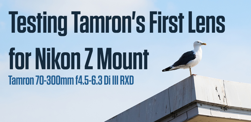 Tamron 70-300mm F/4.5-6.3 Di III RXD arrives for Nikon Z-mount - Amateur  Photographer