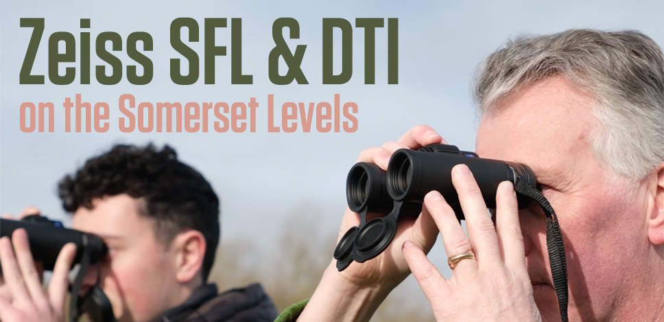 Zeiss SFL and Zeiss DTI for 24 Hour Birding