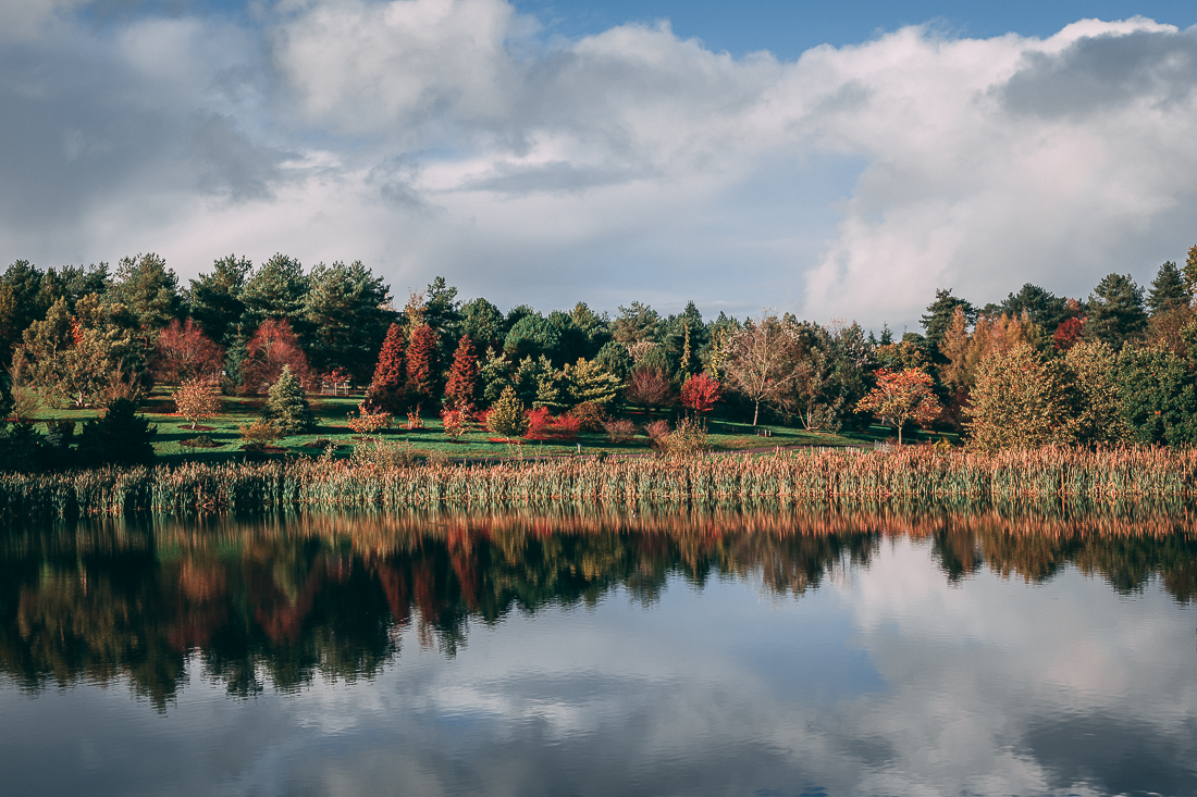 Bedgebury Pinetum