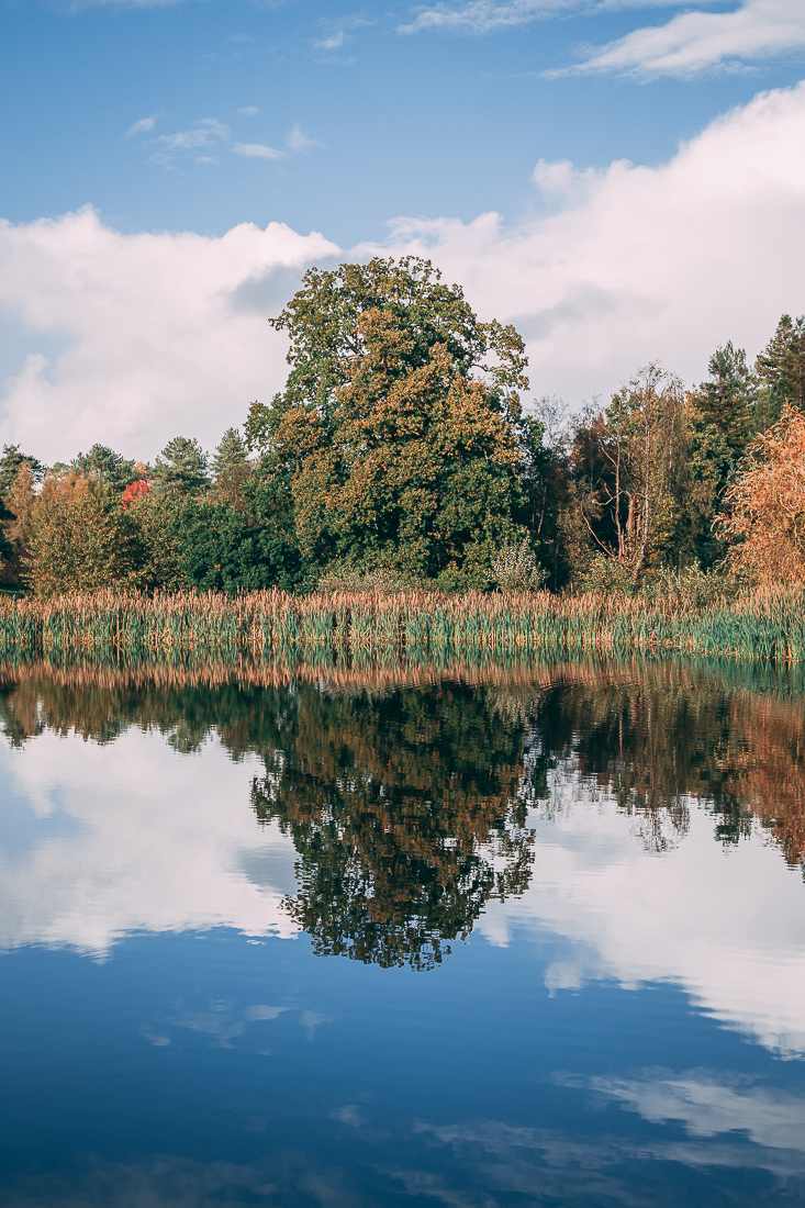 Bedgebury Pinetum Image 1