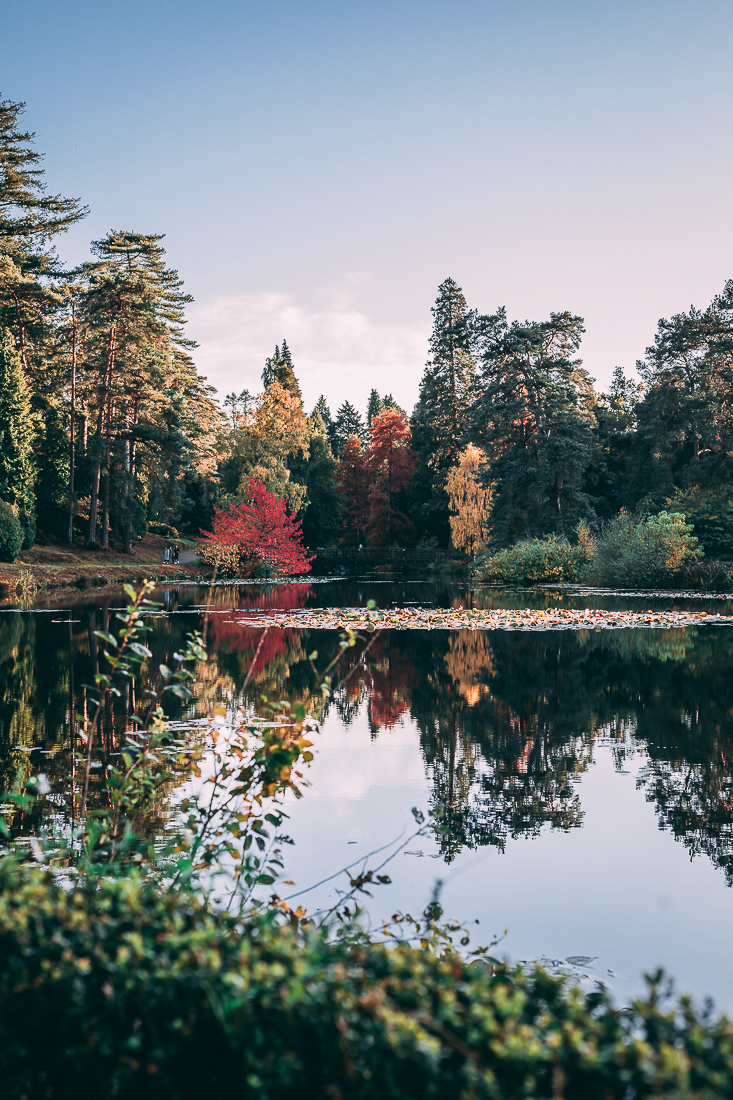 Bedgebury Pinetum