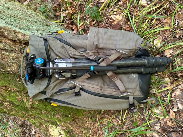 VEO Active Birder with Benro Tortoise