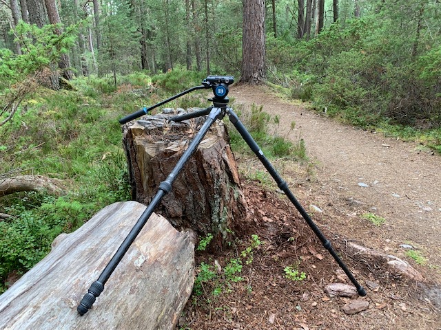 Benro Tortoise Tripod