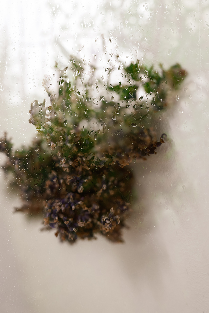 Canon R5 II Multiple Exposure Sample Image
