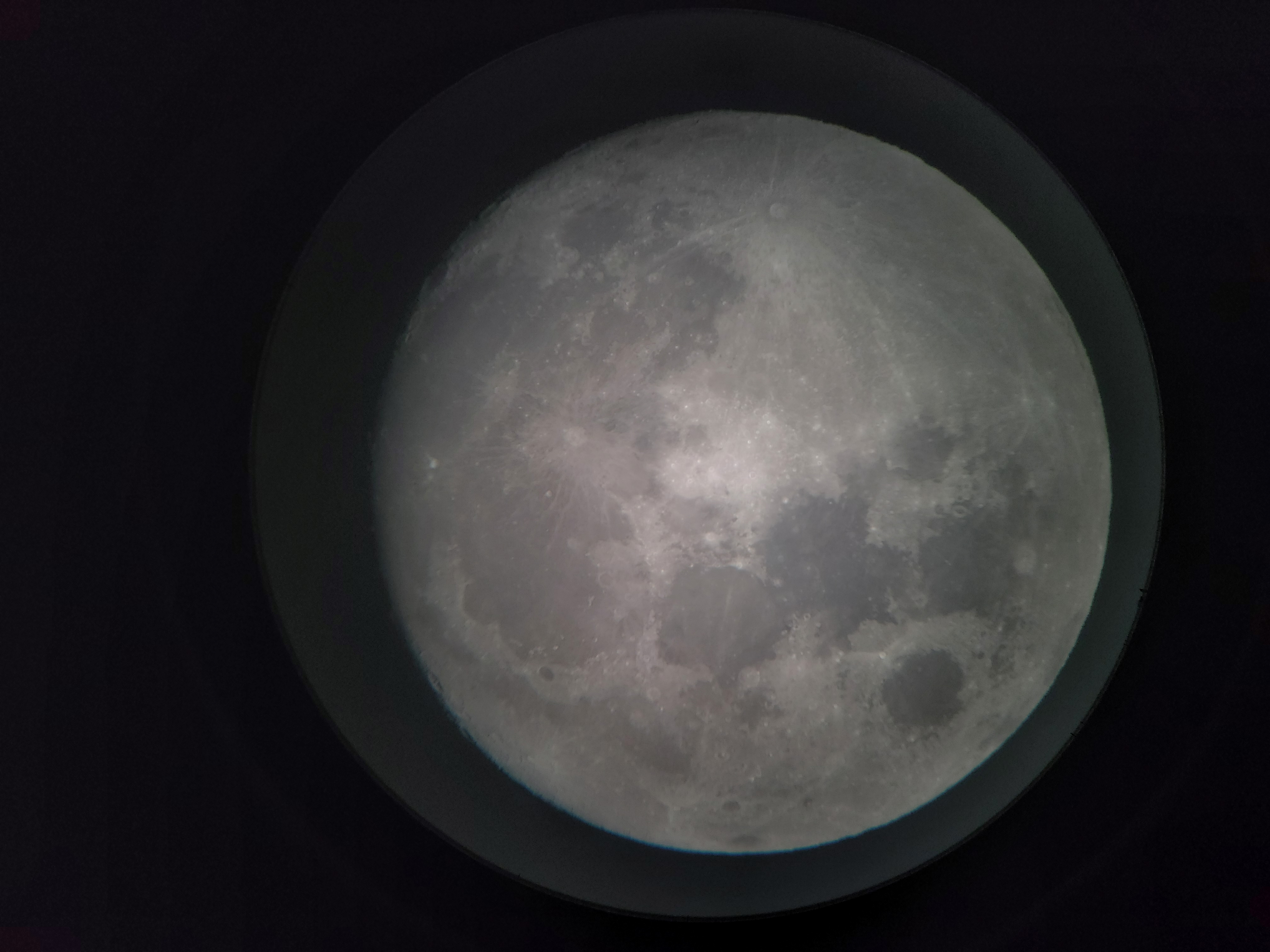 The Moon