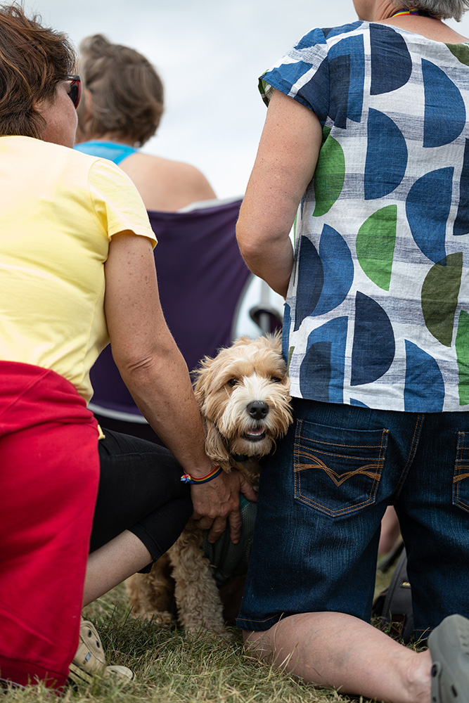 Dog poking their head through a crowd to look at the camera