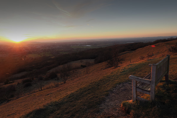 Sunny Bench