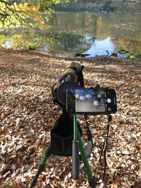 Smartscope Vario-Adapter set up on scope