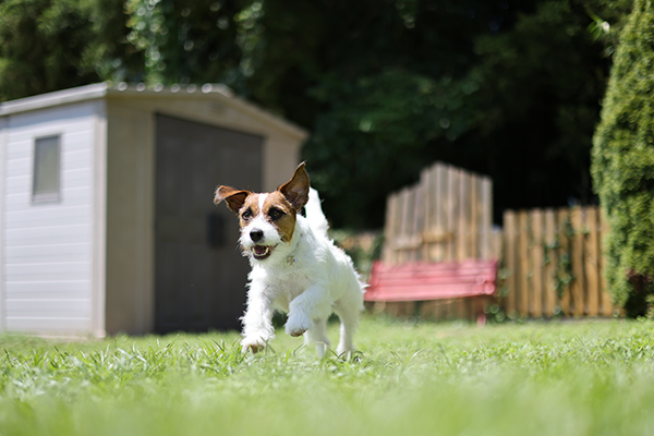 RF 50mm sample image