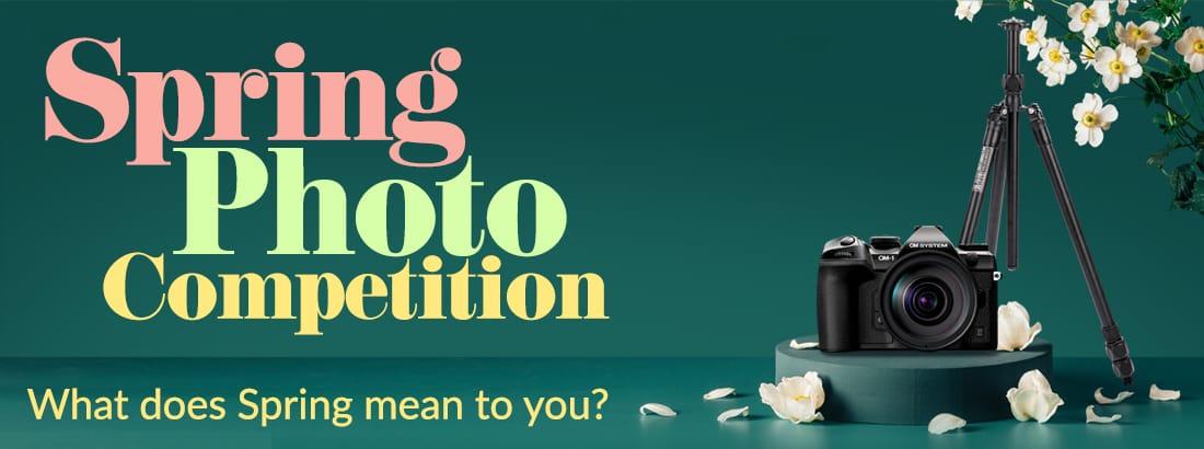 Spring Photography Competition 2024
