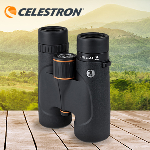 Celestron Regal 10x42 ED Flat Field Binoculars