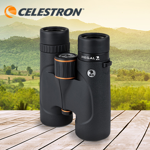 Celestron Regal 8x42 ED Flat Field Binoculars
