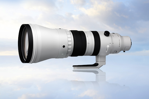 Sigma 300-600mm F4 DG OS | Sports Lens
