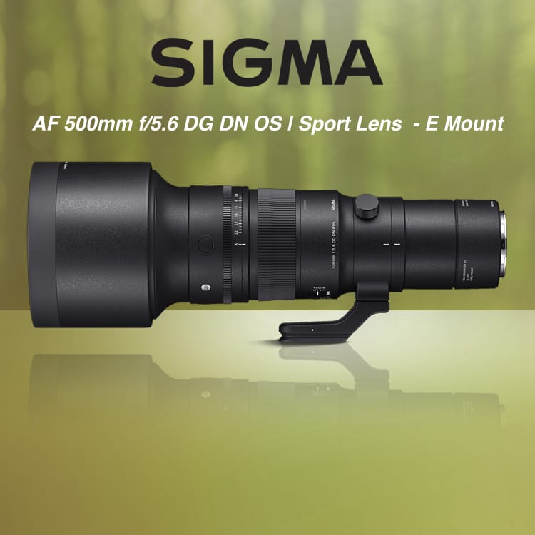 Sigma AF 500mm f/5.6 DG DN OS | Sport Lens