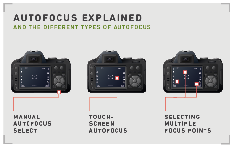 A Beginners Guide to Autofocus