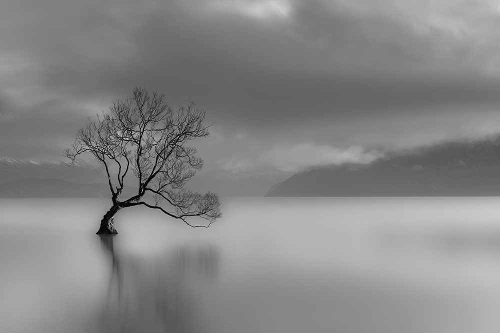 A  black and white landscape photo of a remote lake with a single lonesome tree twisting up out of the water, the lake is surrounded by far off mountains