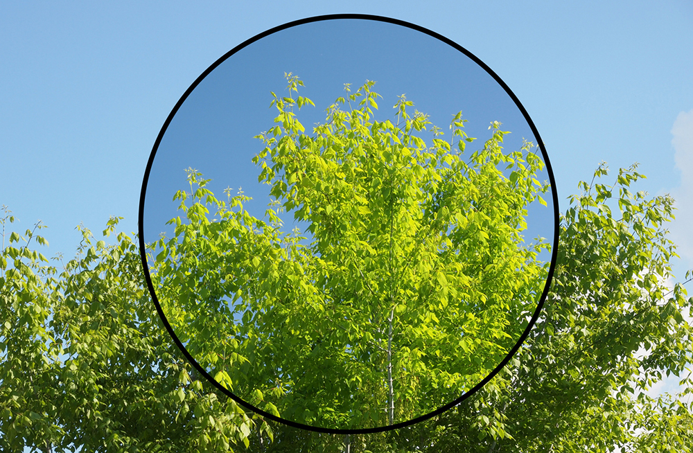 Using Polarising Filters