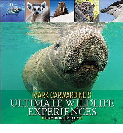 ultimate wildlife experiences